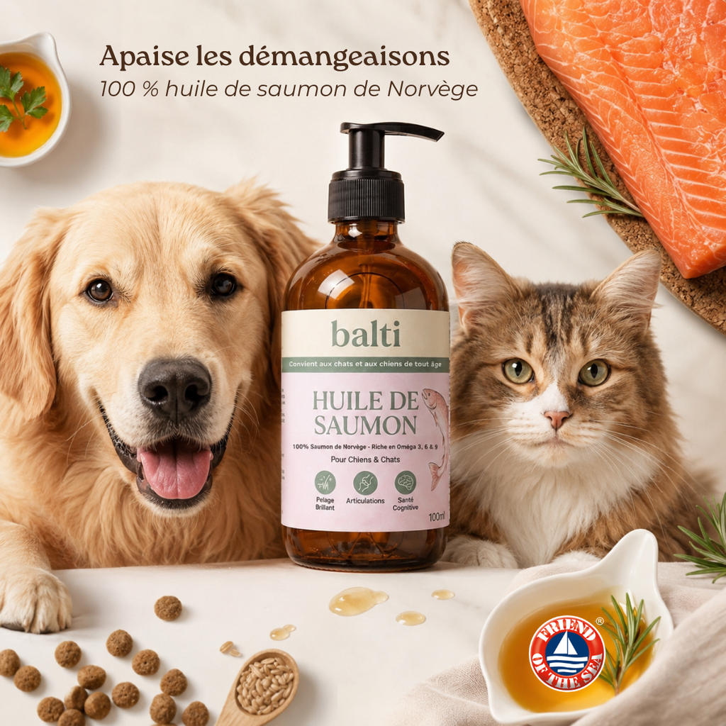 Flacon huile de saumon Balti 100ml pour chien et chat, certifié Friend of the Sea