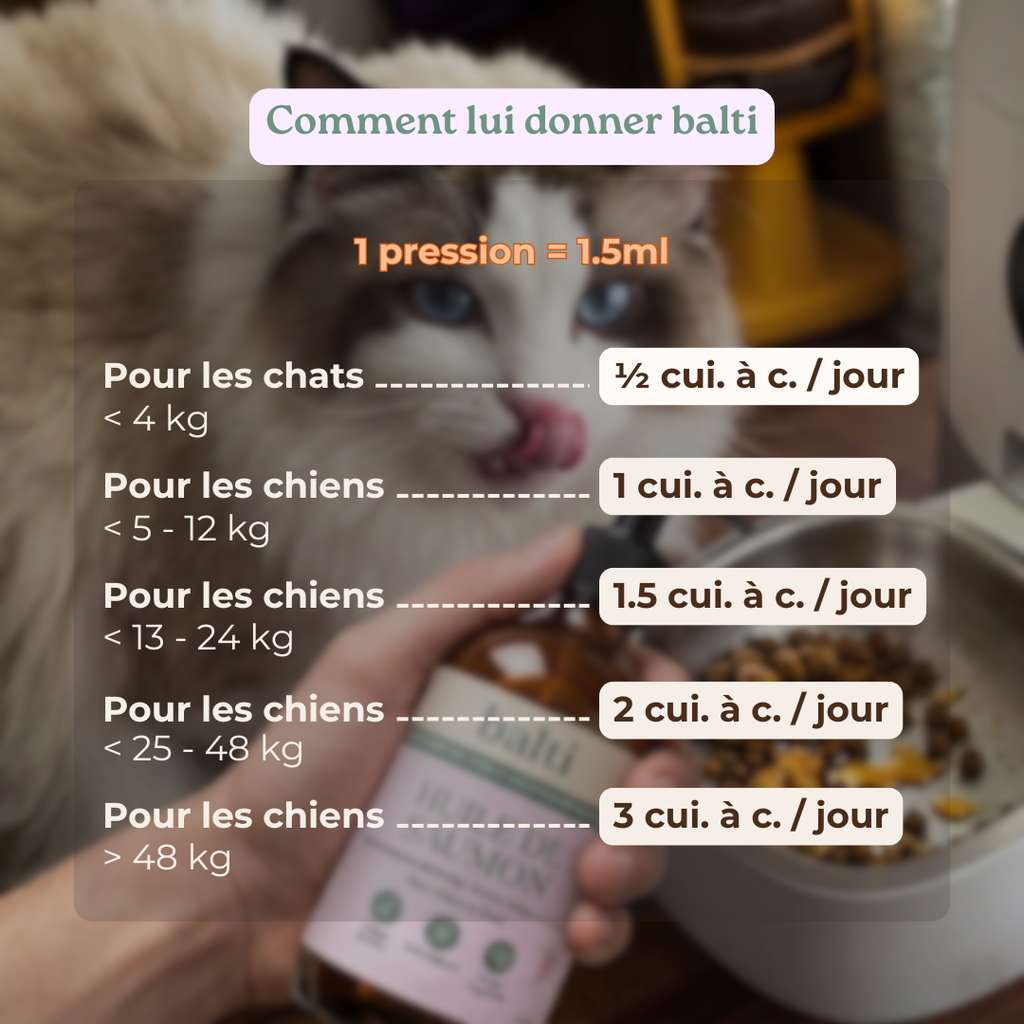 Dosage huile de saumon Balti selon le poids du chien ou du chat, guide pratique simple