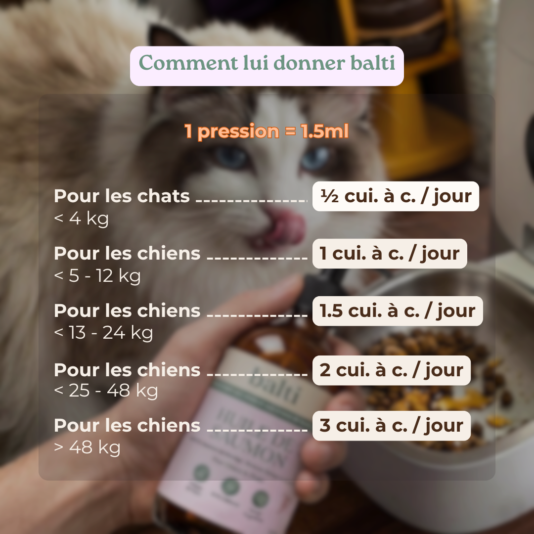 Dosage huile de saumon Balti selon le poids du chien ou du chat, guide pratique simple