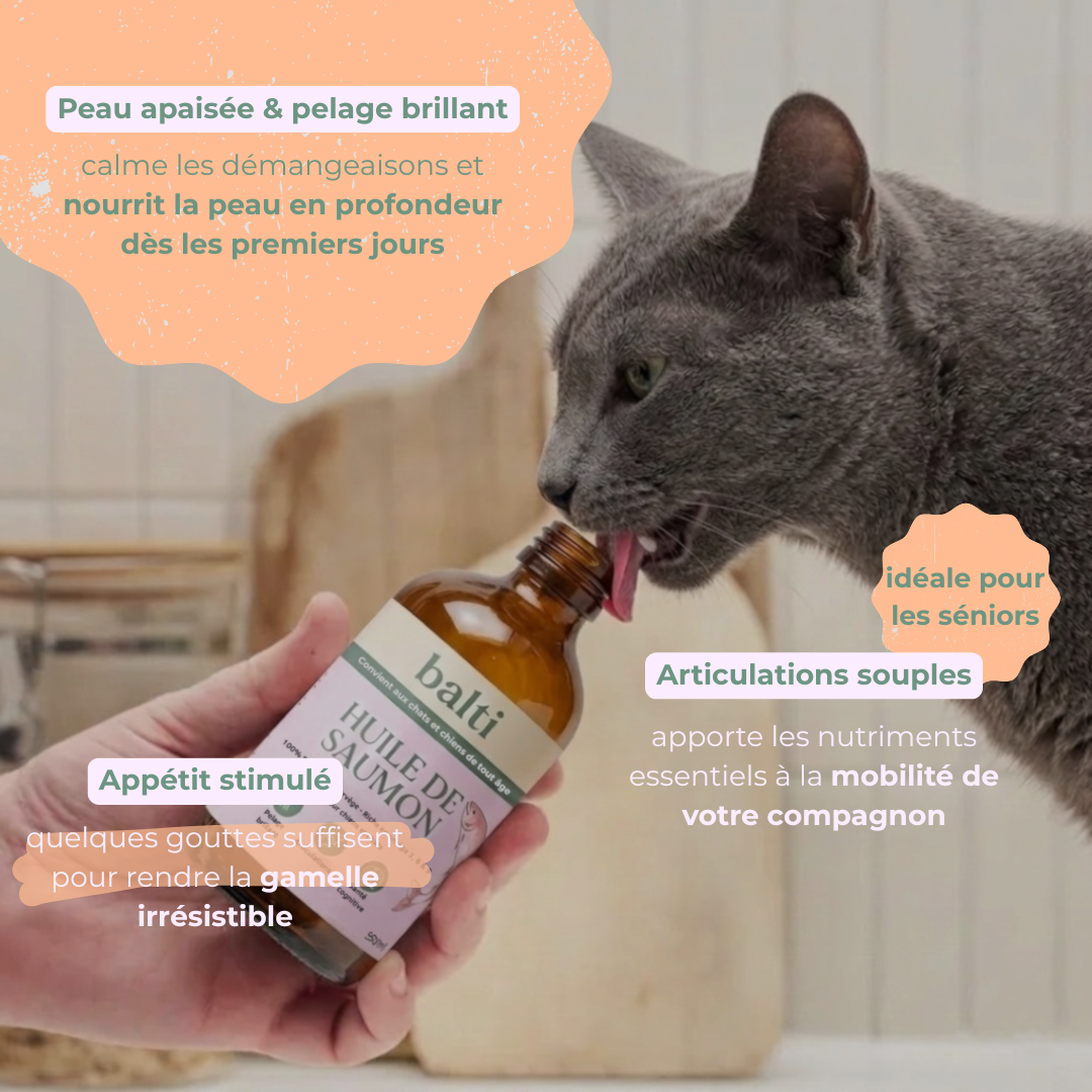 Chat lèche le flacon d'huile de saumon Balti, preuve d'appétence naturelle