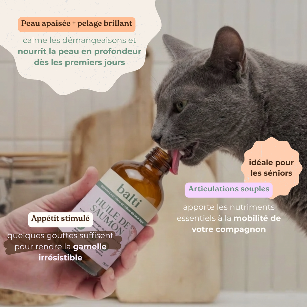 Chat lèche le flacon d'huile de saumon Balti, preuve d'appétence naturelle