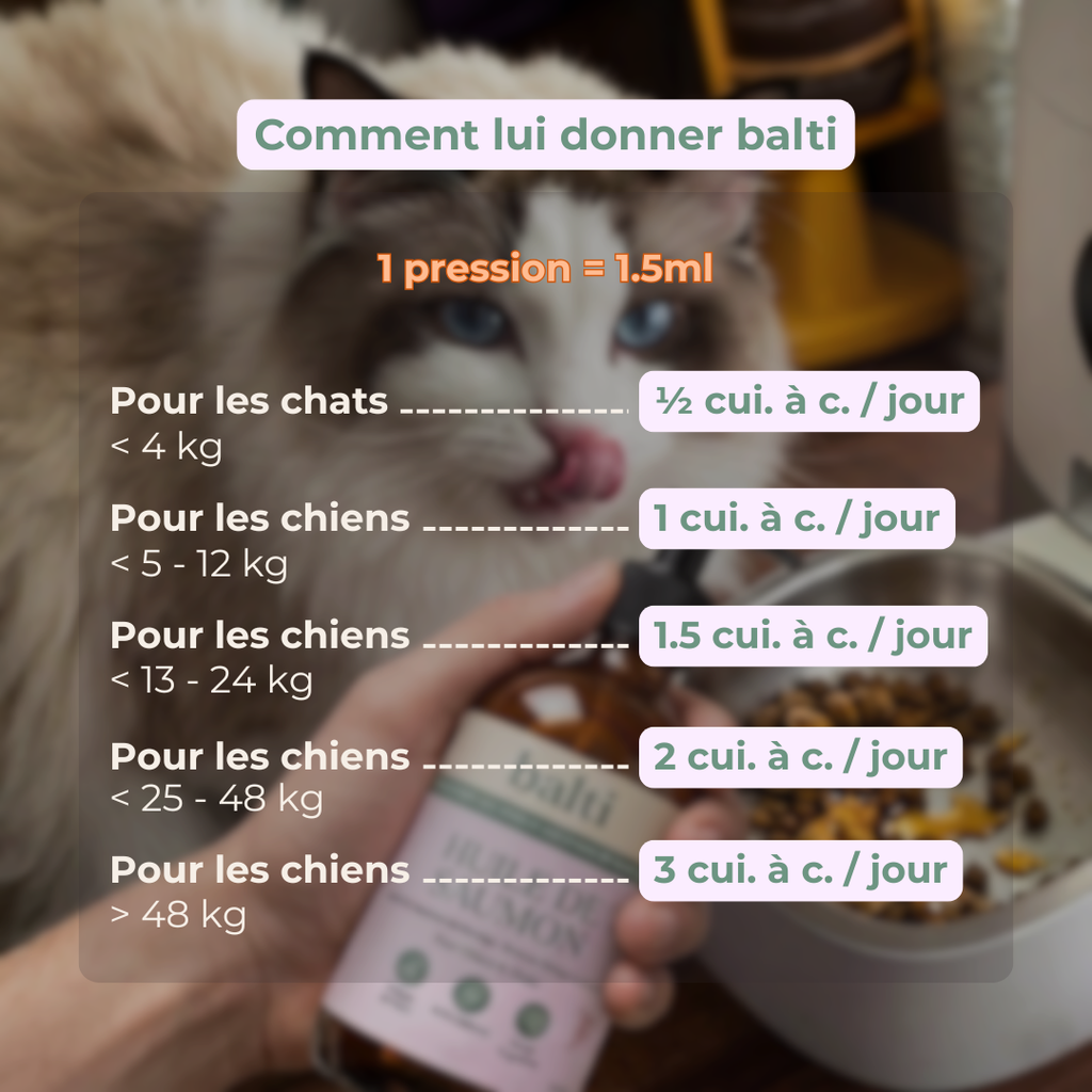 Dosage huile de saumon Balti selon le poids du chien ou du chat, guide pratique simple