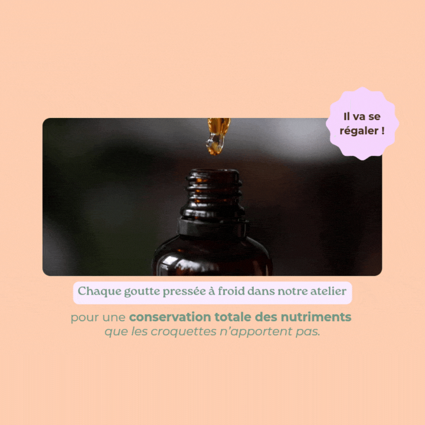 Goutte d'huile de saumon Balti pressée à froid en atelier pour conservation des nutriments