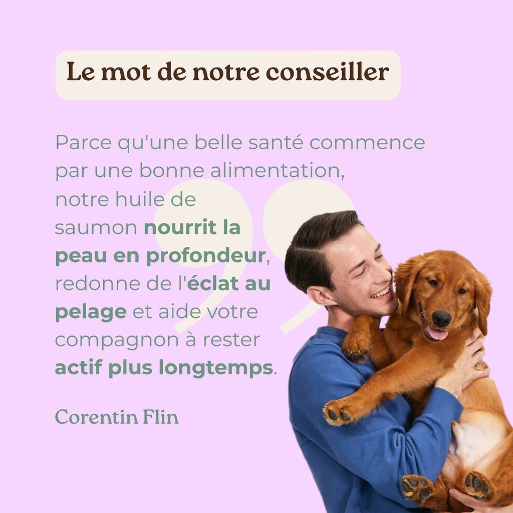 Conseil nutrition de Corentin Flin sur l'huile de saumon Balti pour la santé, peau et articulations