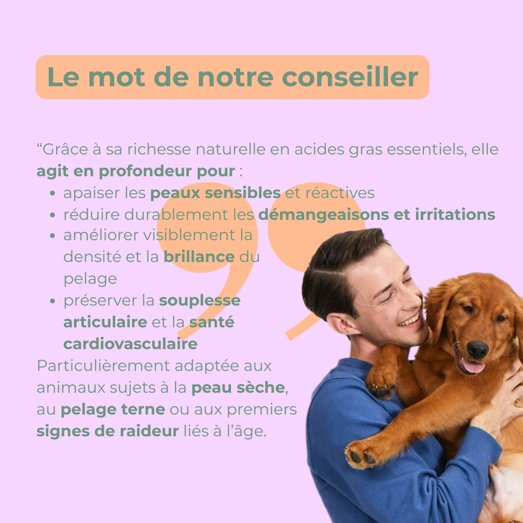 Conseil nutrition de Corentin Flin sur l'huile de saumon Balti pour la santé, peau et articulations