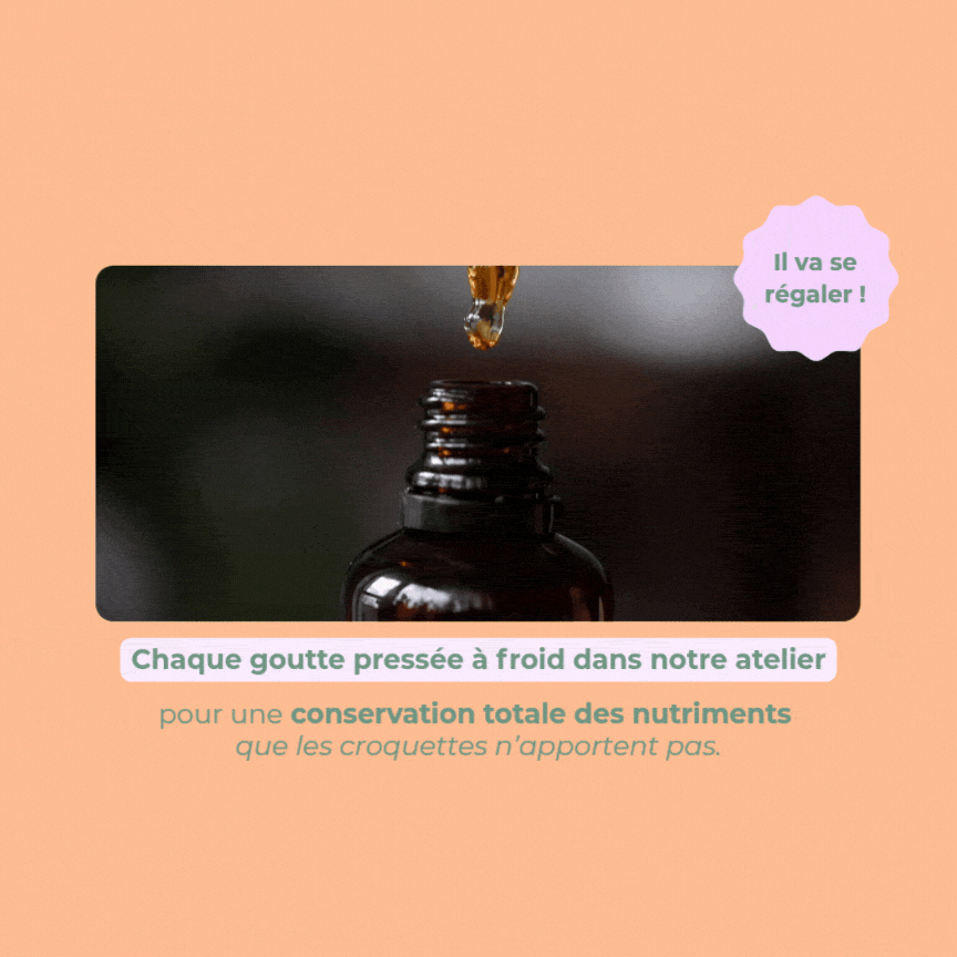 Goutte d'huile de saumon Balti pressée à froid en atelier pour conservation des nutriments
