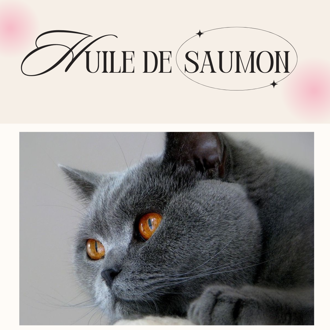 Programme Vitalité+